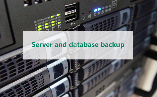 Server and database backup